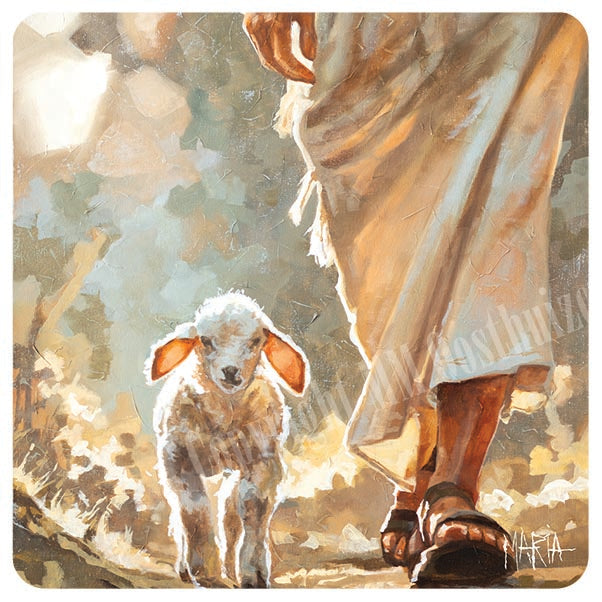 The Shepherd | coaster