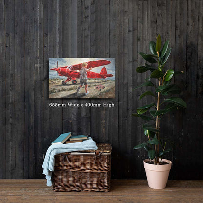 Smit Vliegtuig | Canvas Prints