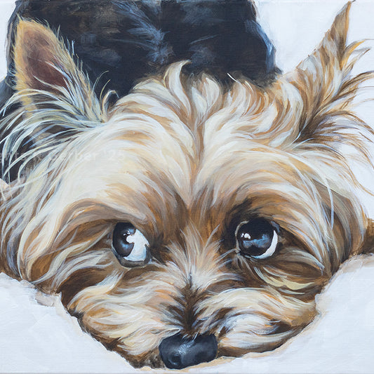 Swart Jassie | Canvas Prints