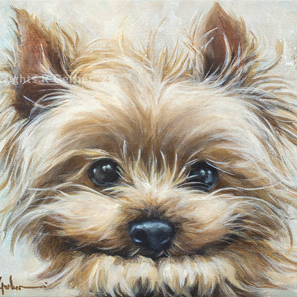 Snorkie | Prints