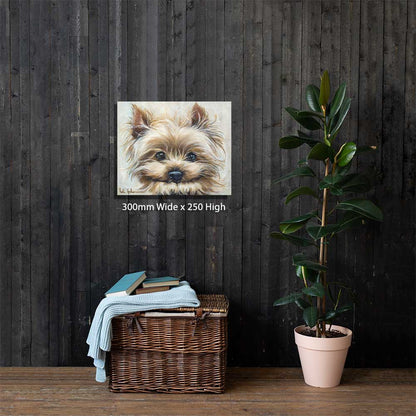 Snorkie | Prints
