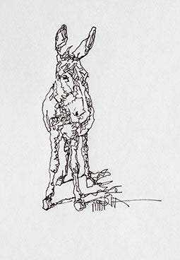 Donkey Sketch Print set