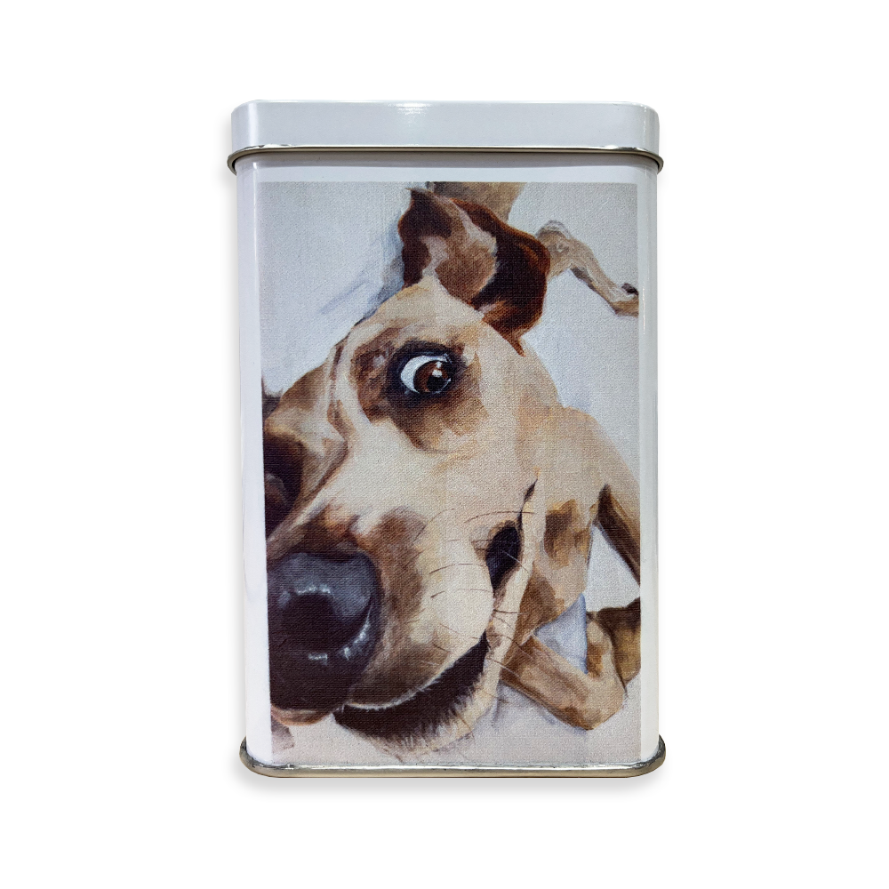 RKT22019 Speels Kitchen Tin House Of Maria ZA